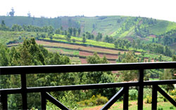 ooty-view