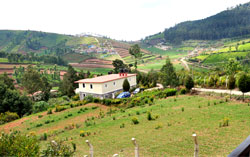 outside-view